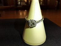 Anillo Pavanati Gioielli Mujer in Oro blanco Diamante 0.85 Ct 318032 - 318032